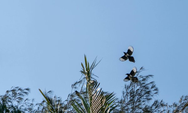 Le dentiste de garde à Nice : comment le contacter ?